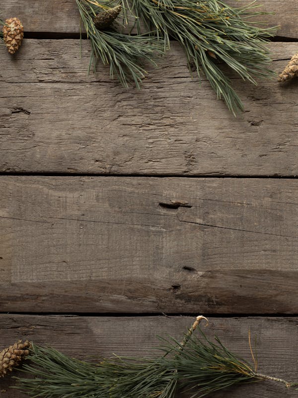 Southall Stripe Shirt